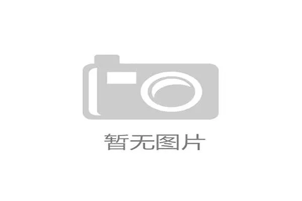 墨西哥国家队南非队阵容介绍及核心球员分析